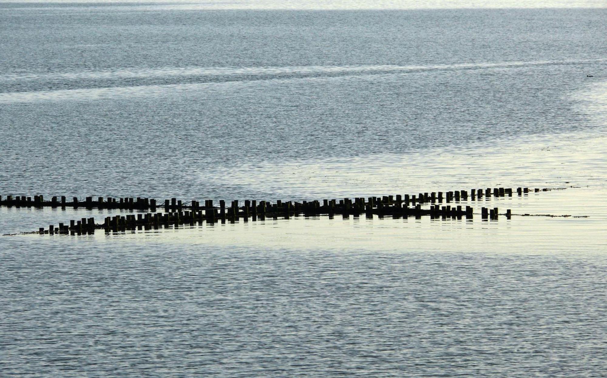 Haus Halligblick, Ferienwohnungen Am Wattenmeer, Whg Langenness Dagebüll Dış mekan fotoğraf