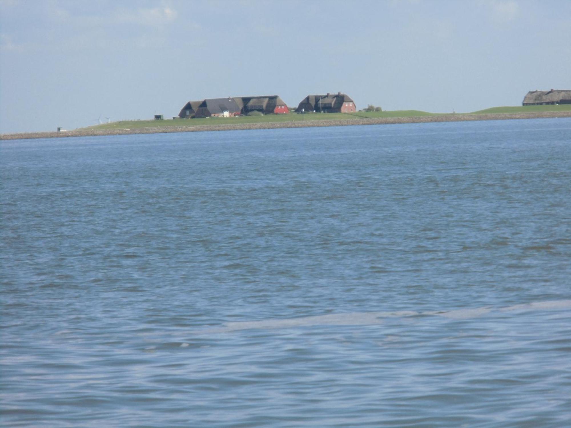 Haus Halligblick, Ferienwohnungen Am Wattenmeer, Whg Langenness Dagebüll Dış mekan fotoğraf